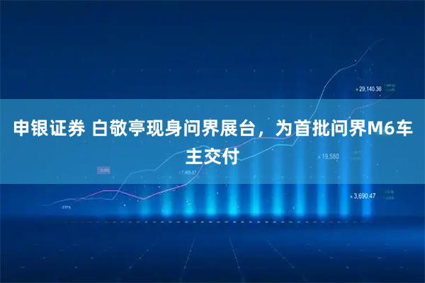 申银证券 白敬亭现身问界展台，为首批问界M6车主交付