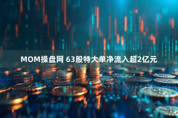 MOM操盘网 63股特大单净流入超2亿元