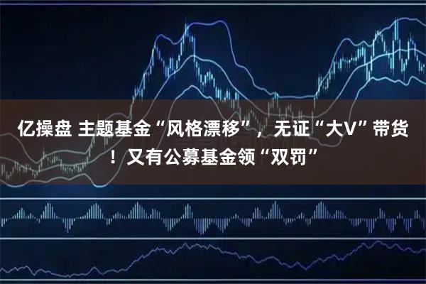 亿操盘 主题基金“风格漂移”，无证“大V”带货！又有公募基金领“双罚”