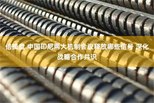 倍操盘 中国印尼两大机制会议释放哪些信号 深化战略合作共识